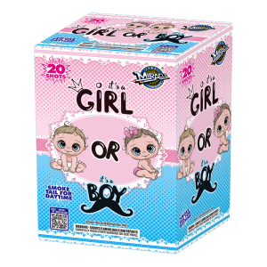 Is It A Boy? Or Is It A Girl?