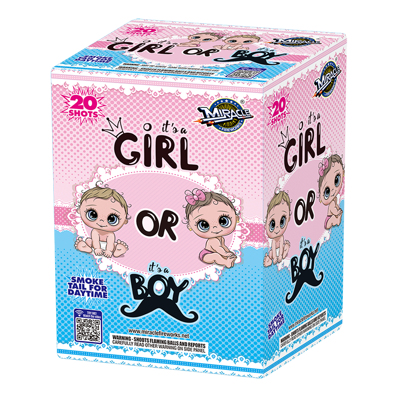 Is It A Boy? Or Is It A Girl?