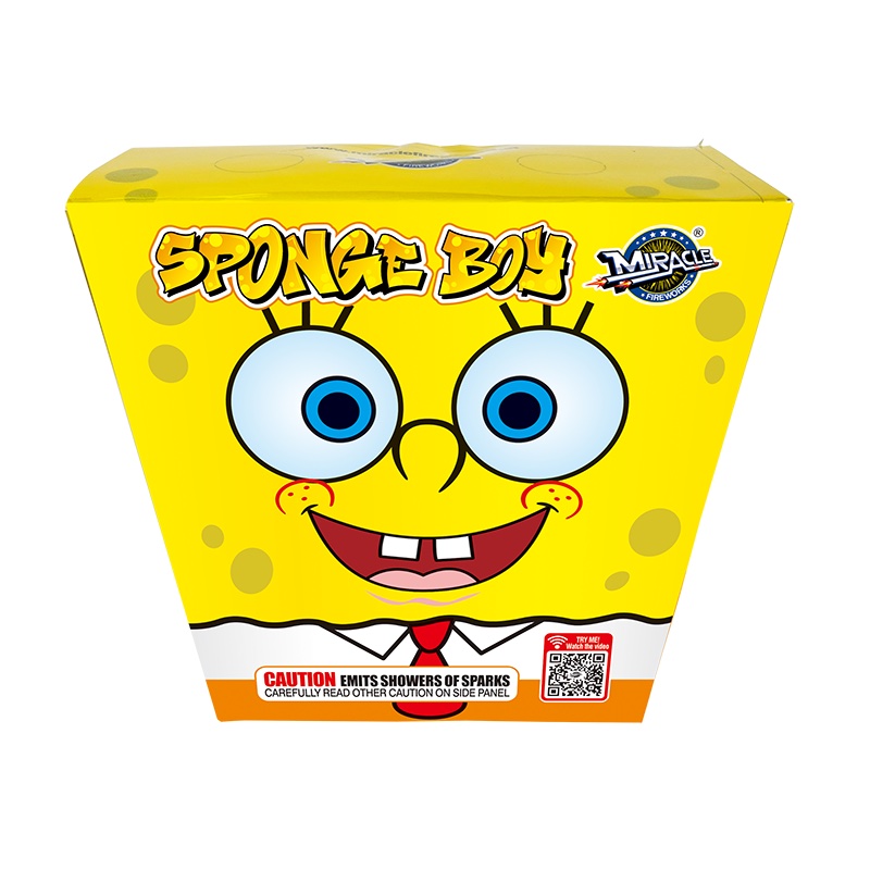 Sponge Boy